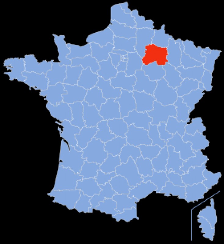 REIMS